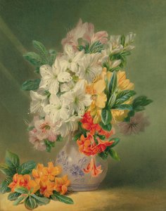 Azaleas, 19th century